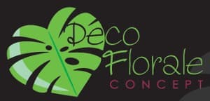 Blog banner 5005