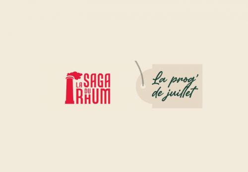 Blog banner 6241