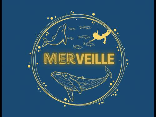 logo_merveille_en_mer.jpg