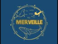 logo_merveille_en_mer.jpg
