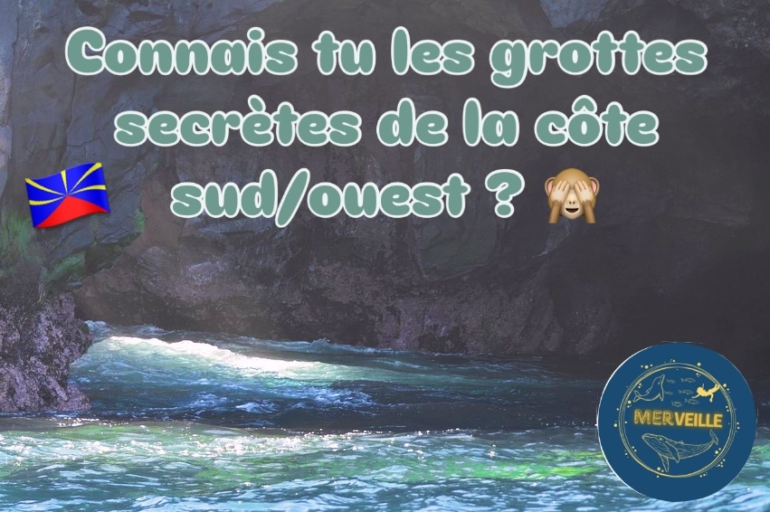 merveille_en_mer-2.jpg